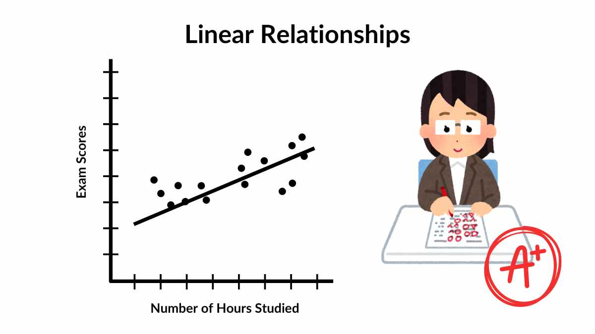 Understand Ordinary Least Squares: How To Beginner's Guide